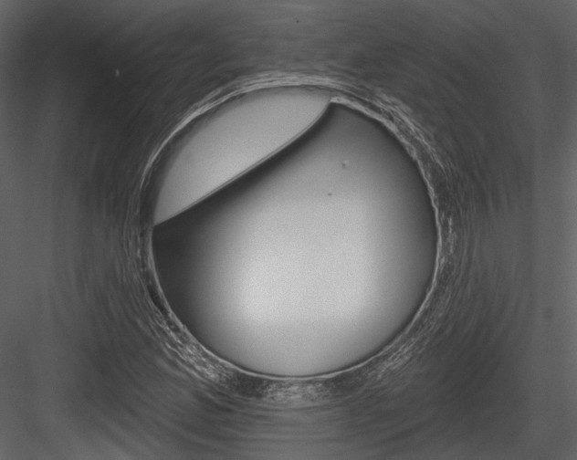 X0000084541165200702230901