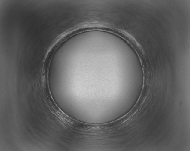 X0000084541167200702230900