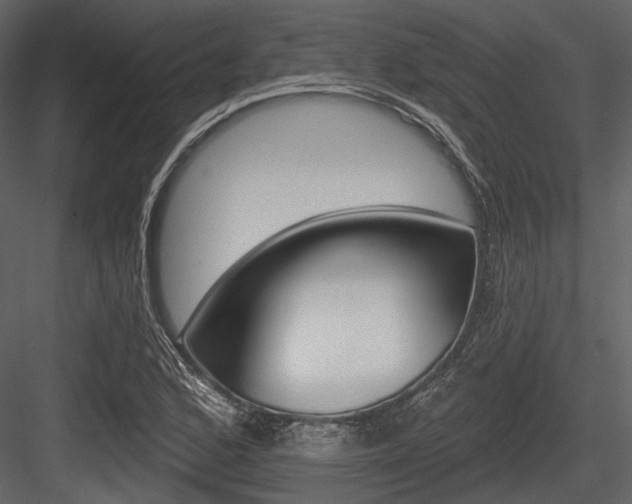 X0000084541168200702230900