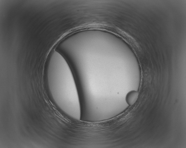 X0000084541170200702230900