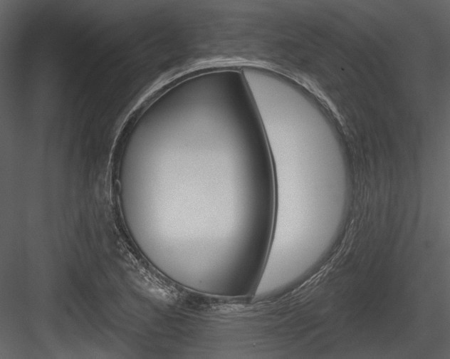X0000084541173200702230900