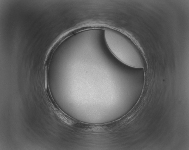 X0000084541175200702230900