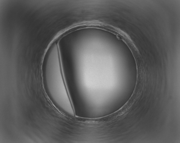 X0000084541176200702230900