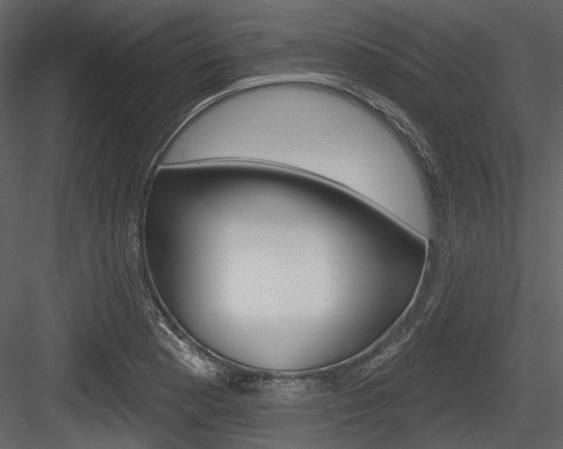X0000084541177200702230900
