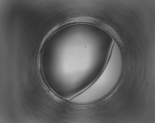 X0000084541180200702230900