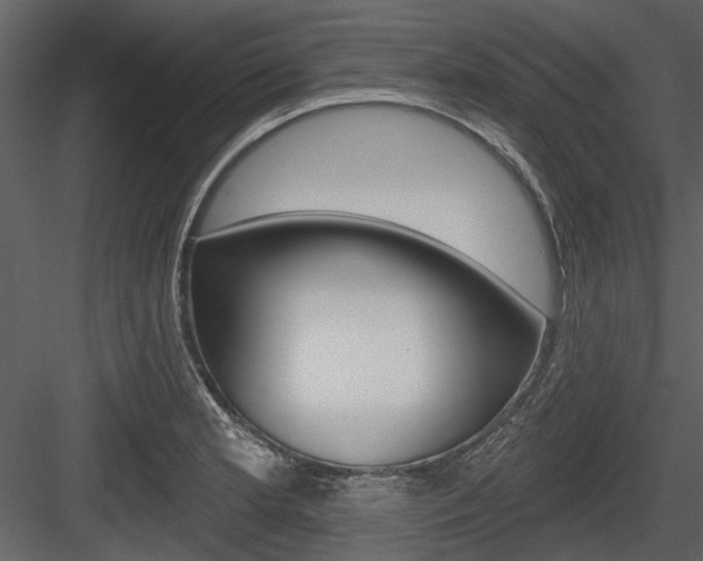 X0000084541181200702230900