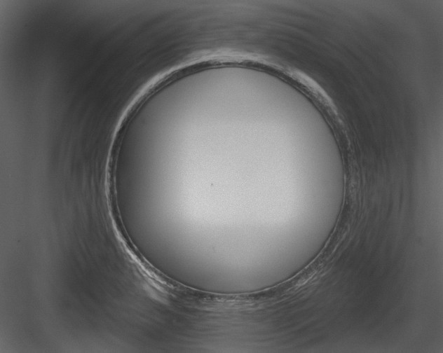 X0000084541183200702230900