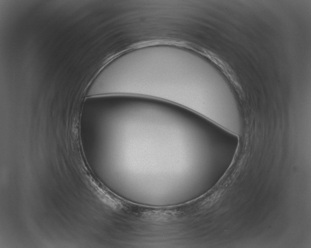 X0000084541185200702230900