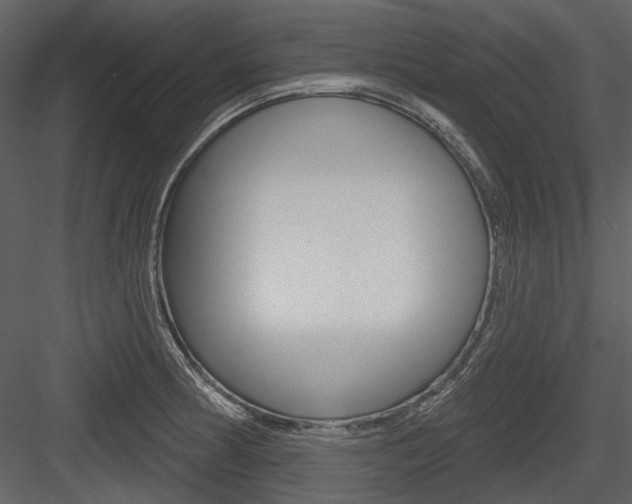 X0000084541186200702230900