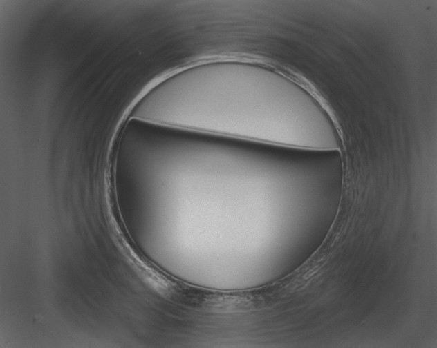 X0000084541187200702230900