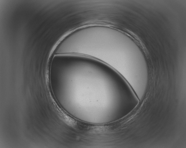 X0000084541188200702230900