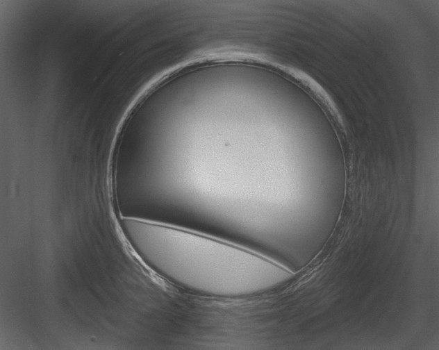 X0000084541191200702230900
