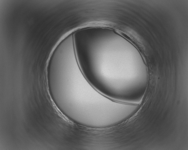 X0000084541192200702230900