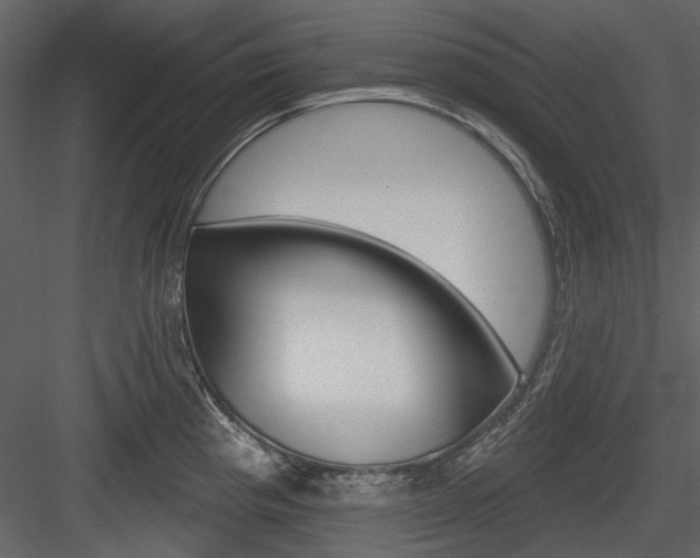 X0000084541193200702230900