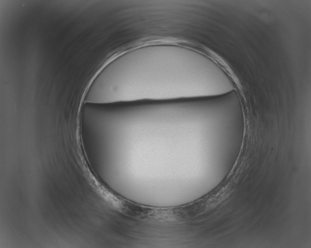 X0000084541194200702230900