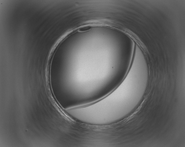 X0000084541196200702230900