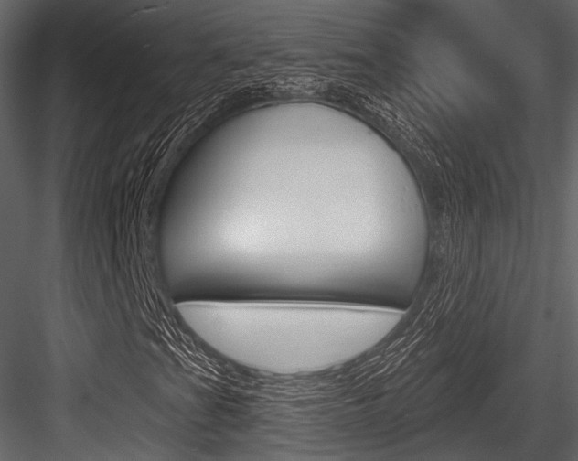X0000084541201200702230859