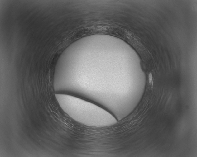 X0000084541203200702230859