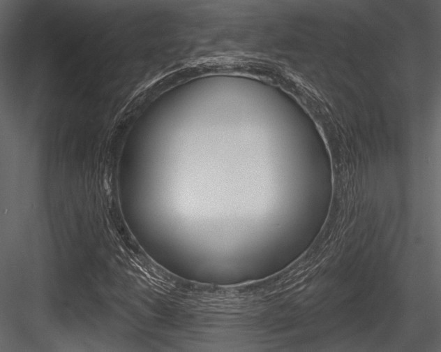 X0000084541206200702230859