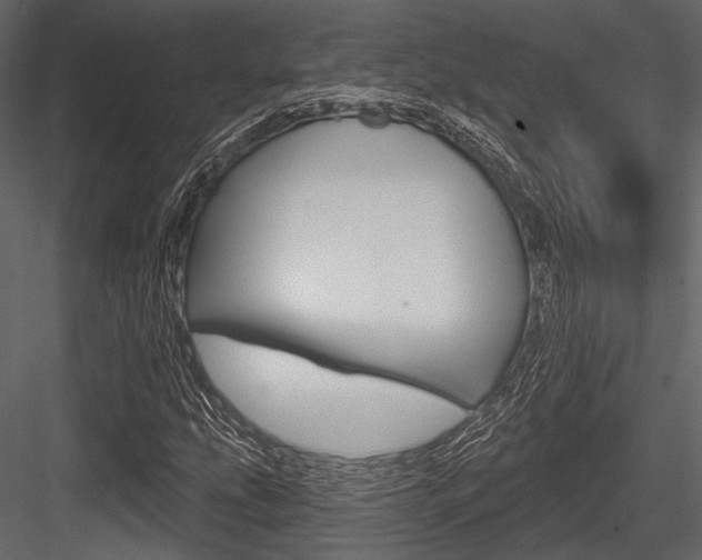 X0000084541207200702230859
