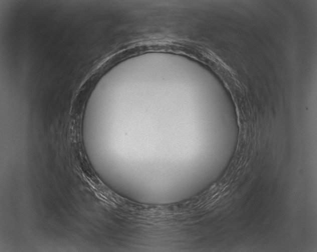 X0000084541208200702230859