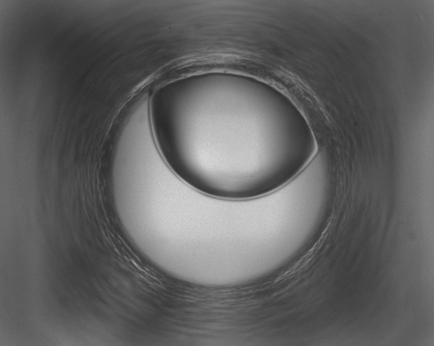 X0000084541210200702230859