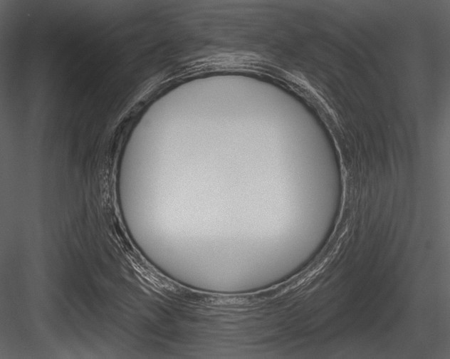 X0000084541211200702230859