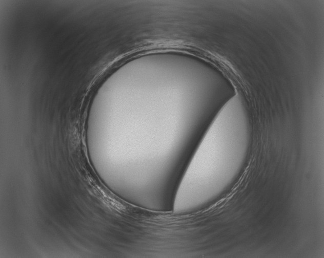 X0000084541212200702230859