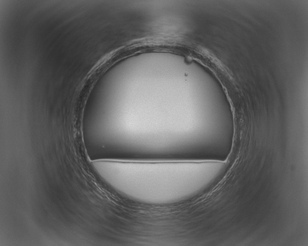 X0000084541213200702230859