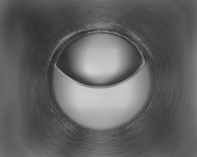 X0000084541214200702230859