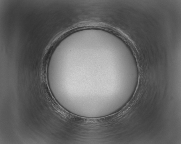 X0000084541215200702230859