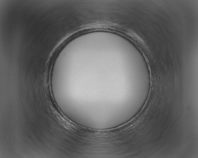 X0000084541216200702230859