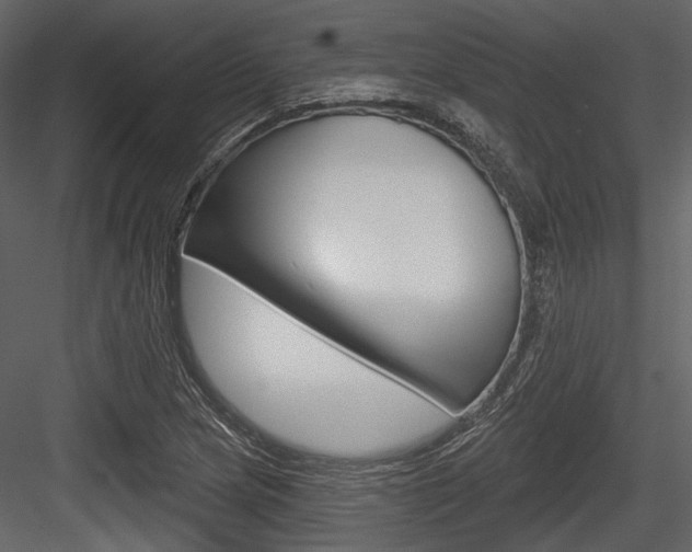 X0000084541217200702230859