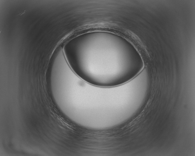 X0000084541218200702230859