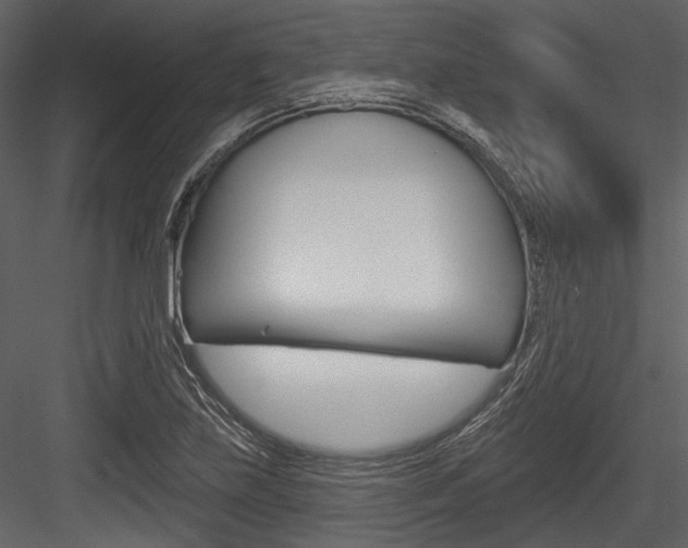 X0000084541219200702230859