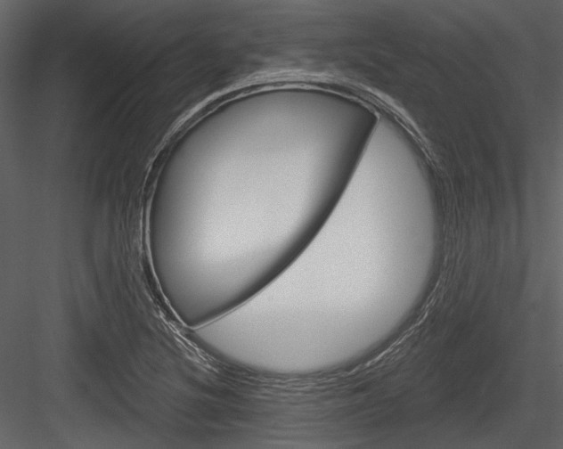 X0000084541220200702230859