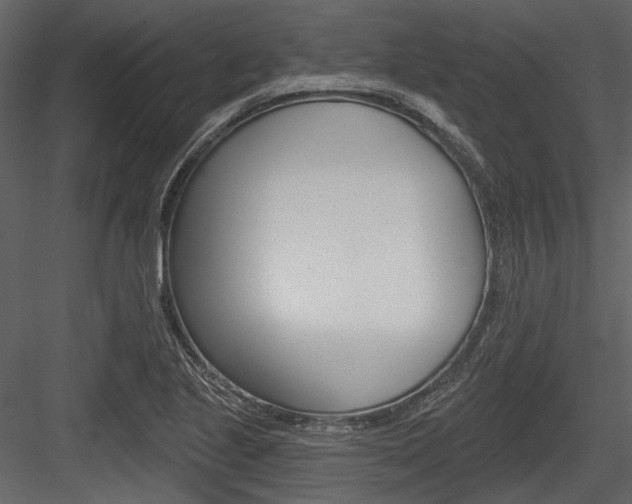 X0000084541221200702230859