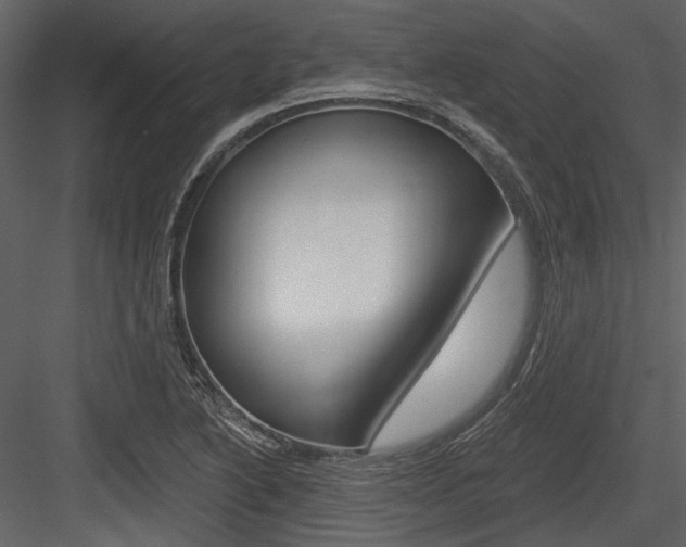 X0000084541222200702230859