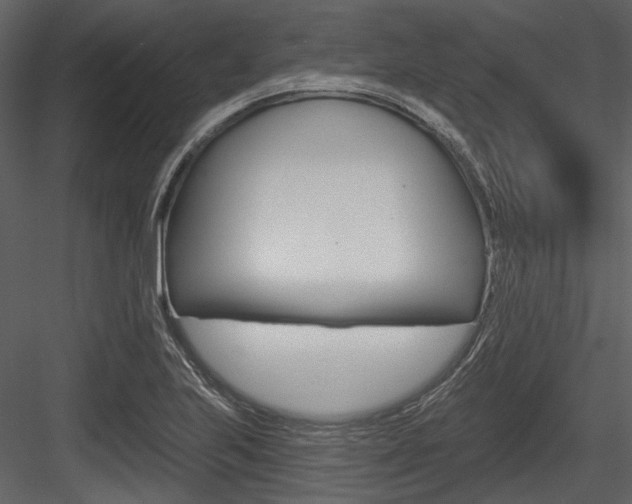 X0000084541223200702230859