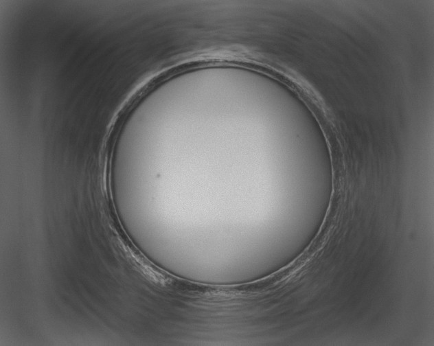 X0000084541224200702230859