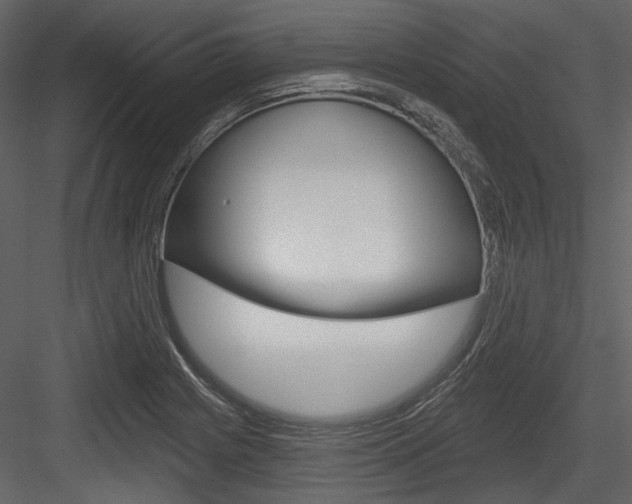 X0000084541225200702230859