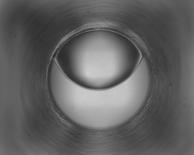 X0000084541226200702230900