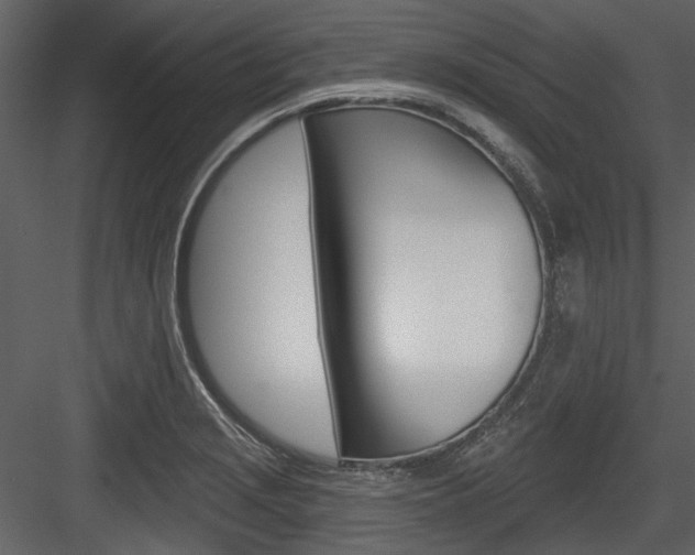 X0000084541229200702230900