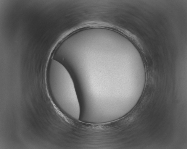 X0000084541231200702230900
