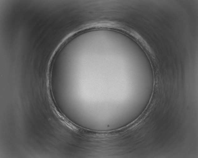 X0000084541232200702230900