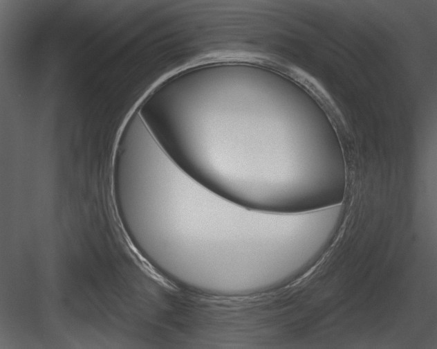 X0000084541236200702230900