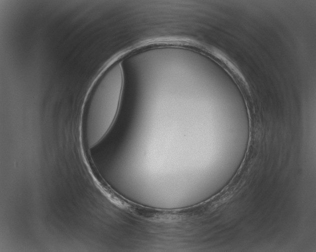 X0000084541237200702230900