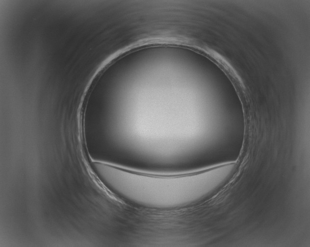 X0000084541238200702230900