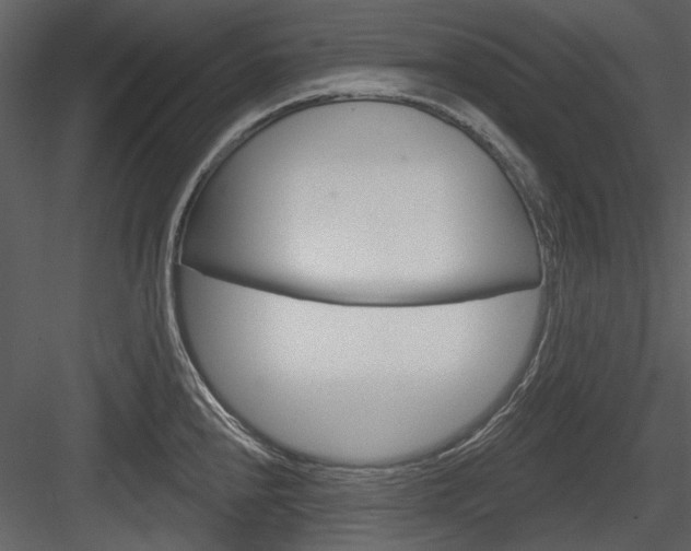 X0000084541240200702230900
