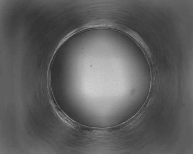 X0000084541242200702230900